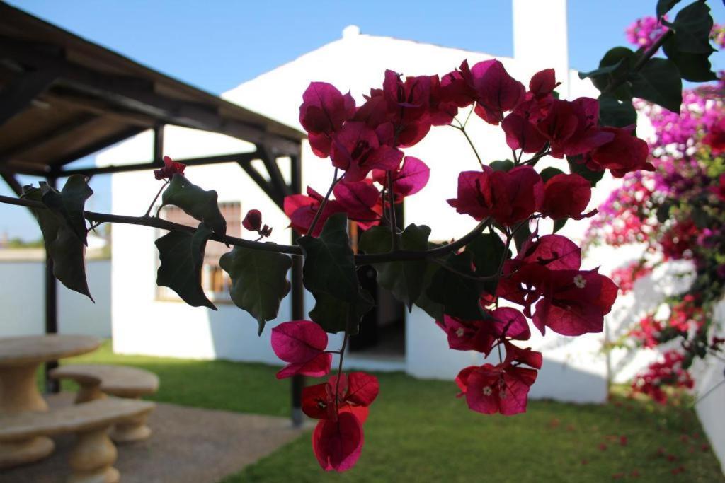 Hacienda Los Majadales Conil De La Frontera Exteriör bild